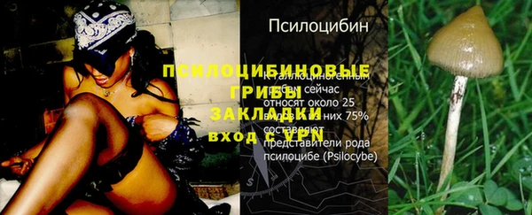 круглые Краснослободск